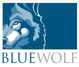Blue Wolf Capital Partners