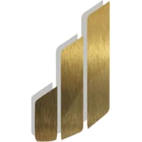 Paravest Capital