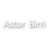 Astor Birri, Inc.